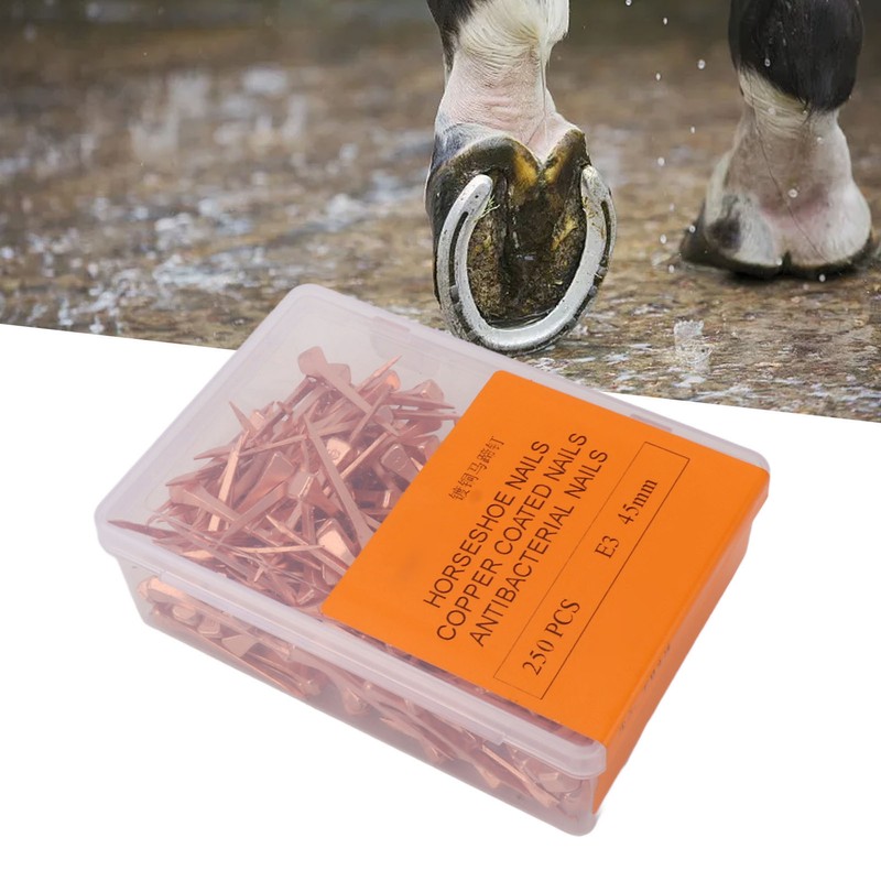 250Pcs Horseshoe Nails Copper Plated Rustproof Equestrian Riding Equipment Pet