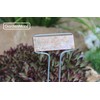 GardenMate 50-Pack Weatherproof Banner Copper Metal Plant Labels, Height 10.5",