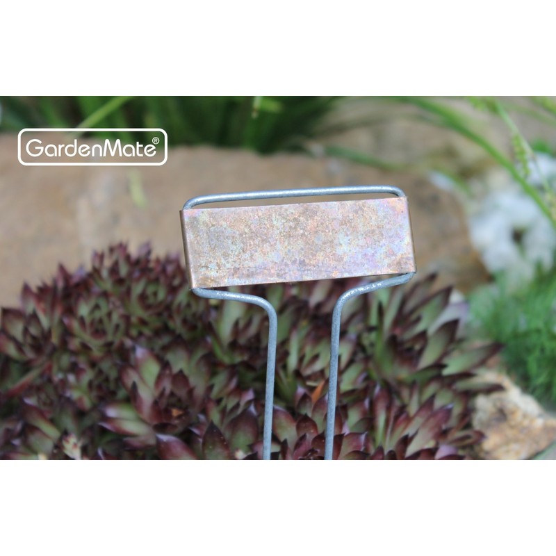 GardenMate 50-Pack Weatherproof Banner Copper Metal Plant Labels, Height 10.5",