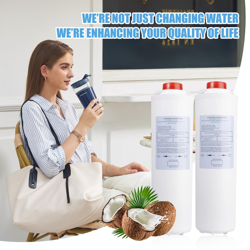 51300C Replacement Filters, 3 Pack, Compatible with Elkay ezh2O Bottle