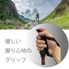 DINING+ Trekking Pole, Foldable, Set of 2, Lightweight, Compact, Mountain