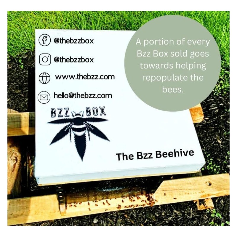 BzzBox Decorative OG Storage Box - Light Bamboo, Lockable, with