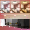 IEGLED LED Ceiling Light with Remote Control, 24 W, Modern
