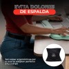 Faja Moldeadora Deportiva Gym Talle Alto 30 Cm Bold Tribe
