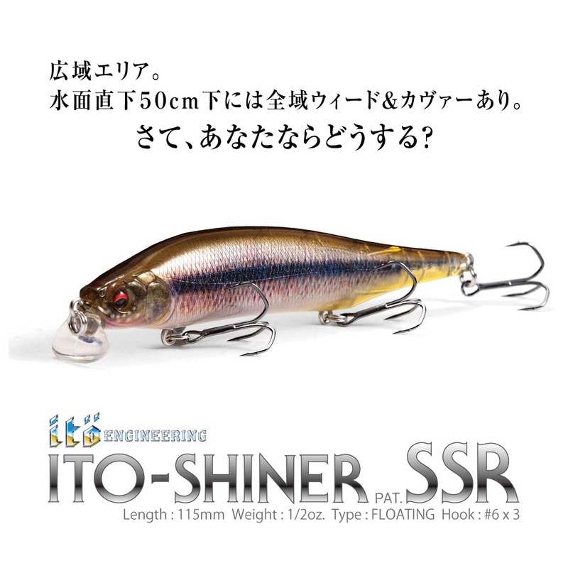 Megabass ITO SHINER SSR MG Western Crown