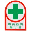 Japanese Green Cross Helmet Sticker HL-88 Foreman Education Completion Set