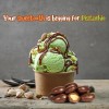 It's Delish Milk Chocolate Covered Pistachios by It's Delish, 48