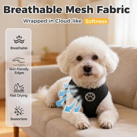 BINGPET Small Dog Harness, No Pull Dog Harness Small Sized Dogs, Soft Light Breathable Mesh Puppy Vest with Safety Buckle-Adjustable Step in Pet Harnesses for Easy Walking, Running, Training
