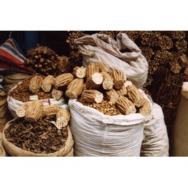 Dragon Herbs - Astragalus Root Drops - 2 fl oz