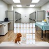 20 Pcs White Disposable Dog Boots for Paw Protection, Adjustable