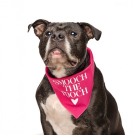 Smooch The Pooch Valentine's Day Dog Bandana (Black, XS 1173)