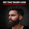 Beardo Beard Styling Tool for Men | Pack of 3