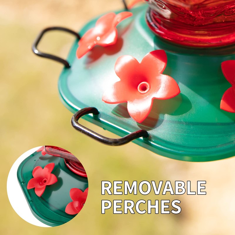 Billion Sky Hummingbird Feeder for Outdoors, Lantern Shaped Bottle, 6