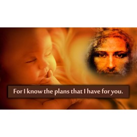 Pro-Life Christian Banners for Home or Church 60" x 96" (HG121-2) Plans for you