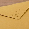 Midori 86509006 Letter Set Foil Stamped Envelopes, Fluff Pattern