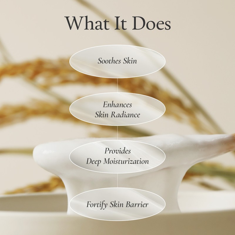 FULLY [FULLY]Rice Dough Modeling Mask (4ea)