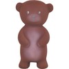 Tikiri Bear Squeaky Figure - Cute Natural Rubber Bath Toy,