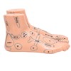 2pcs 19cm / 7.5in Feet Acupoint Model Acupuncture Teaching Aids