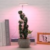 USB Plant Light Angel Ring with Timer Full Spectrum Sunlight