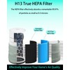 Selfgurher 311i MAX AllergenBlock Replacement filter Compatible with Blue Pure