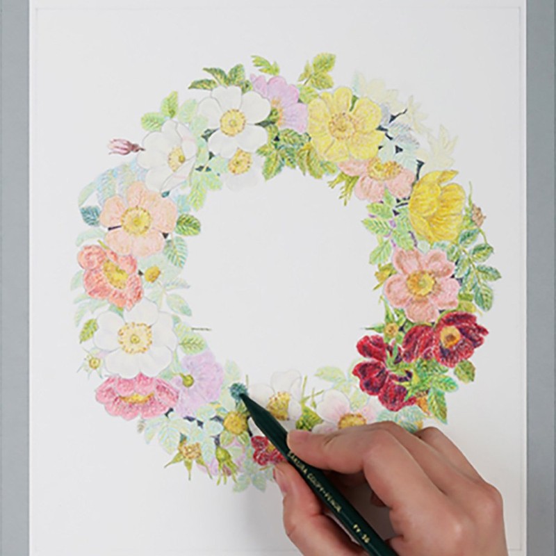 Sakura Craypas JFY Rose #144 Coupy Colored Pencils, Solid Color,