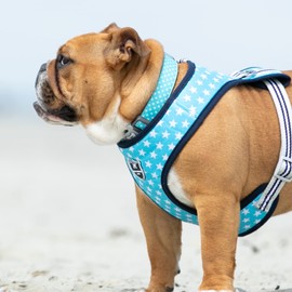 HUGO & HUDSON Fabric Nylon Dog Collar with Quick Release Safety Clip Buckle - Soft & Comfortable Padded Pet Collar - Turquoise Star - XS