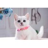 Cute Cat and Dog Collar with Bell, Adjustable Nylon Puppy