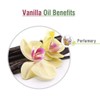 SALVIA Salvia Vanilla (Vanilla Planifolia) Essential Oil 100% Pure &