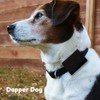 Dapper Dog Pet Tag Silencer and AirTag Holder (Black)