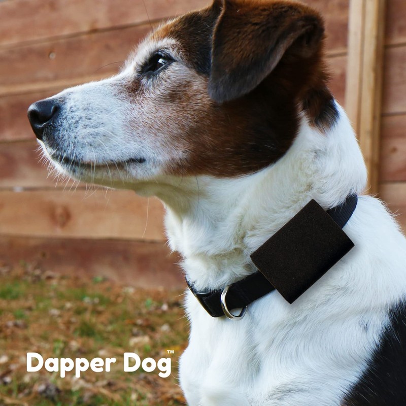 Dapper Dog Pet Tag Silencer and AirTag Holder (Black)