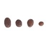 Clay Pebble, Wacent Hydroponic Clay Pebbles Grow Media Anion Clay