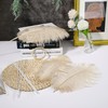 Ballinger Large Champagne Ostrich Feathers - 12pcs 16-18inch Feathers Making
