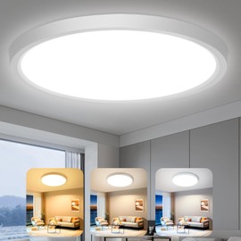 Oraymin Ceiling Light LED Ceiling Light Flat Dimmable 24 W 30 cm Ultraslim Lamps Bedroom Lamp LED Ceiling Light Panel 3000 K - 6500 K Ceiling Lamp for Bedroom Kitchen Hallway Bathroom Balcony Cellar