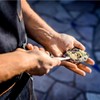 Rockland Guard Oyster Shucking Knife - Oyster Knife Shucker for