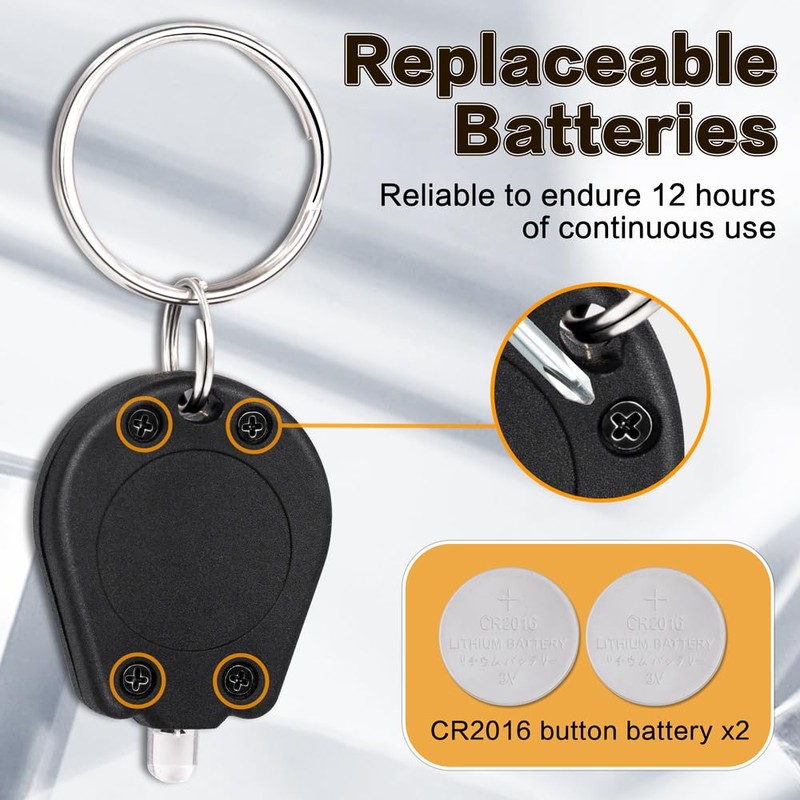 RaySoar 12 Pack Ultra Bright Mini LED Keychain Flashlight, Small