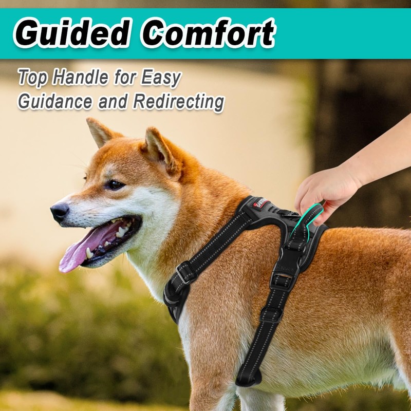 BARKBAY Dog Harness No Pull for Medium Dogs - Adjustable,