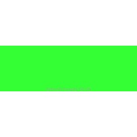 WICKED Fluorescent Colors W023 Green 60 ml