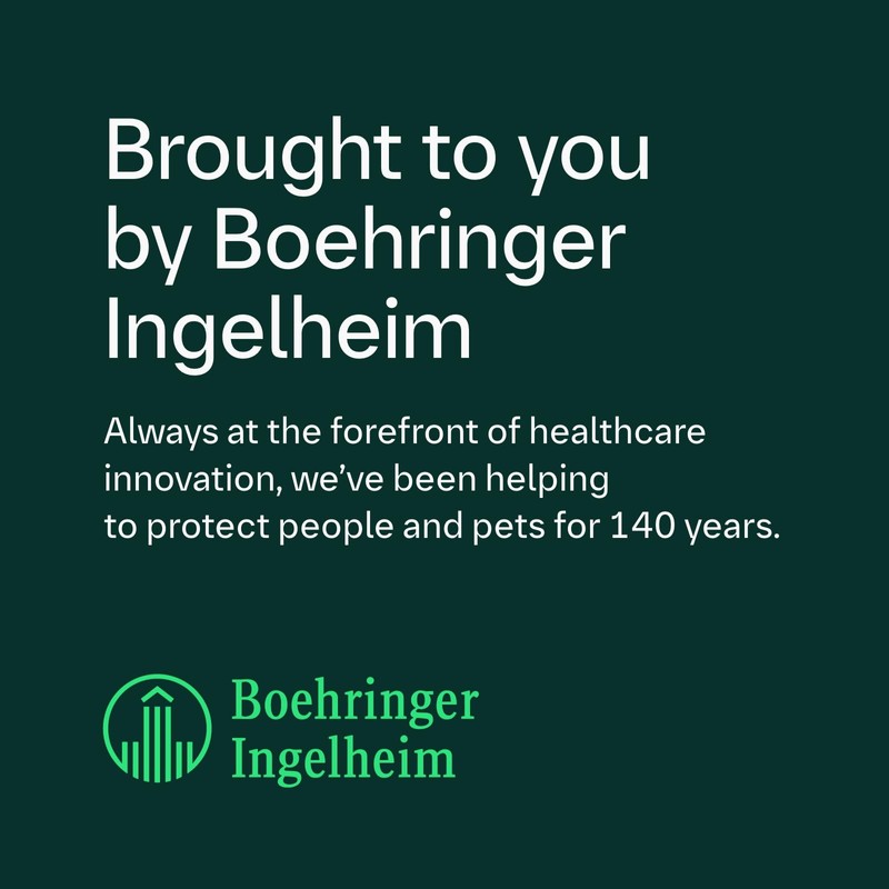 FRONTLINE FRONTLINE Plus Flea & Tick Treatment for Large Dogs