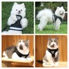 NC Mesh Dog Harness, Leash with Reflective Material, Leash Set,
