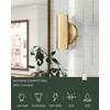 Cargifak 2-Light Wall Light, Brass Gold Wall Sconce, Indoor Up