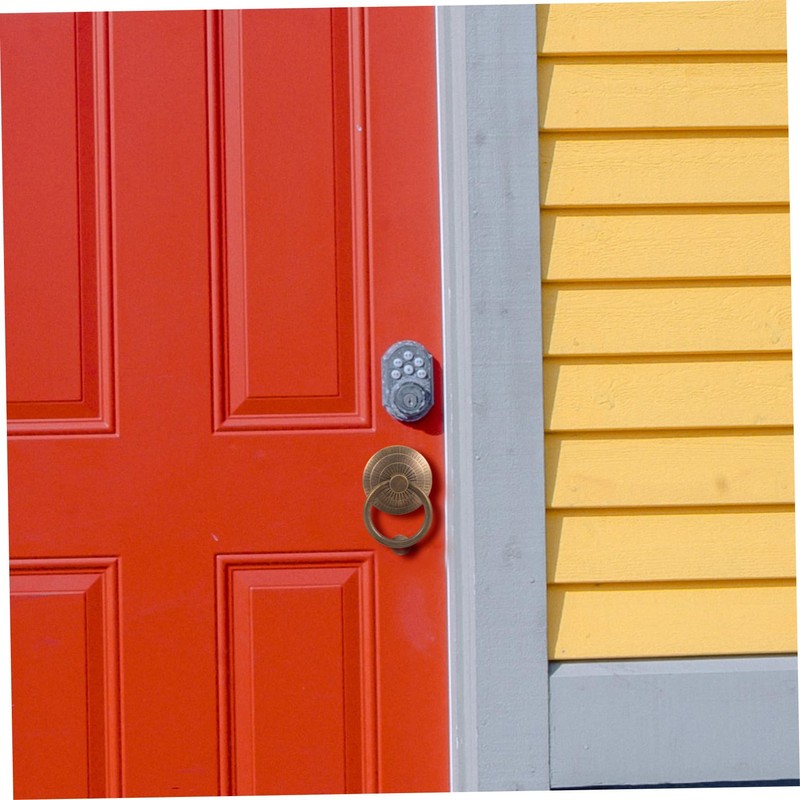 DOITOOL Home Door Security Knocker Brushed Nickel Retro Front Metal