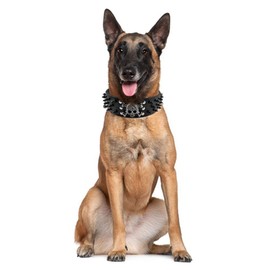 haoyueer Spiked Studded Dog Collar - Stylish Leather Dog Collars - 2 Inch Width Fit Medium & Large Dogs - Pitbull Mastiff Labrador Boxer Rottweiler German Shepherd (L, Gold Brown)