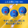 【指定第2類医薬品】イブスリーショットプレミアム 30錠