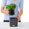 Lechuza Cube Colour 14 13384 Herb Pot, High-Quality Plastic, Includes