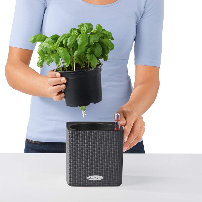 Lechuza Cube Colour 14 13384 Herb Pot, High-Quality Plastic, Includes