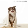 MEIDAI Fluffy Towel, Absorbs Mess Water, Cherry, Soft Towel, Superb