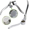 Steel Garlic Press - Ginger Crusher - Kitchen Utensil -