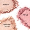 Benefit BOP Bronzer &amp; Highlighter 7 types, choose 1, Dandelion