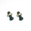 Victor Exhibition Reproducer Parts - (2) Balance Spring Tension Screws