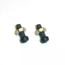 Victor Exhibition Reproducer Parts - (2) Balance Spring Tension Screws & Nuts